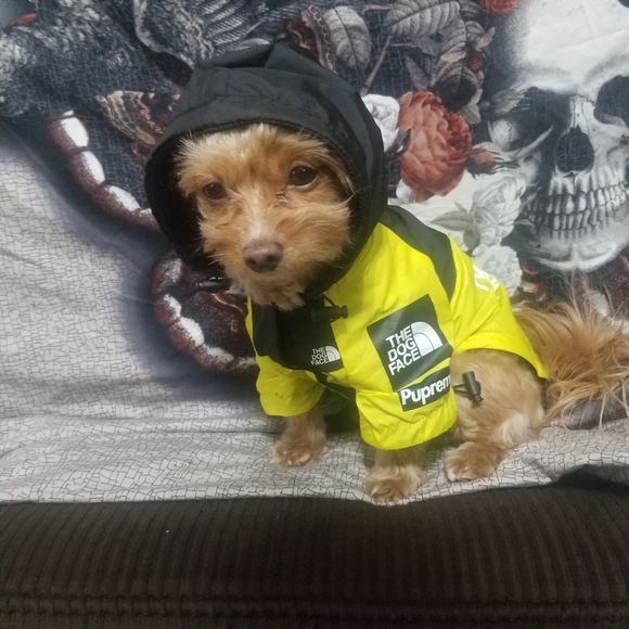 North Face Supreme Jacket (Dog) - Picture 3 of 4